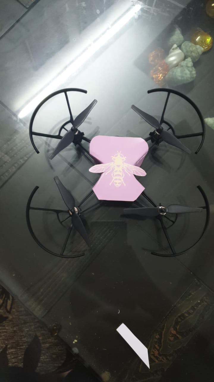 drone2.jpeg