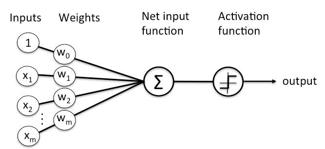 general-diagram-of-perceptron-for-supervised-learning.jpg
