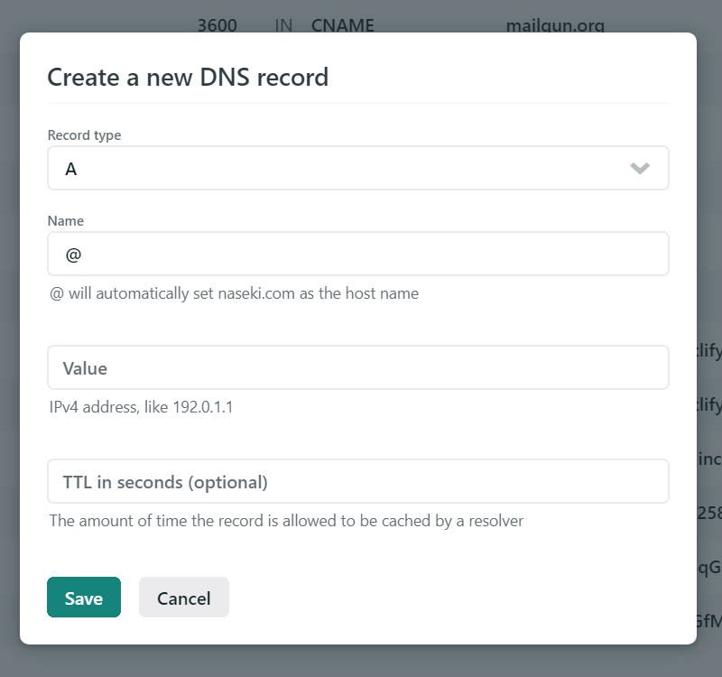 Adding a new DNS record to Netlify