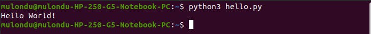 python_terminal_run.png