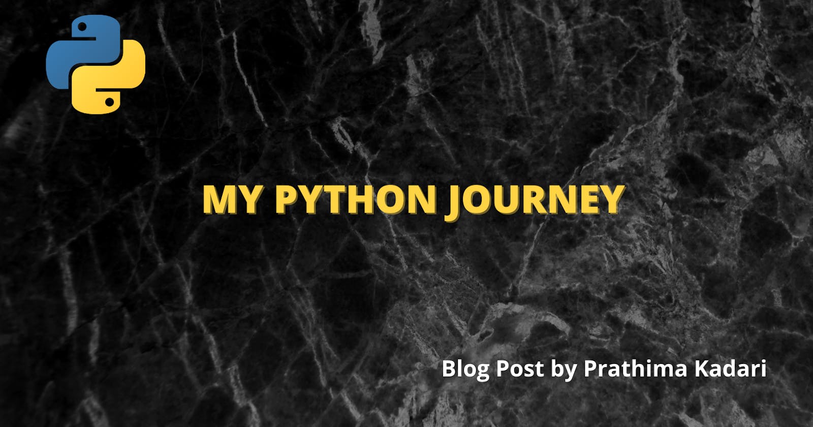 My Python Learning Experience