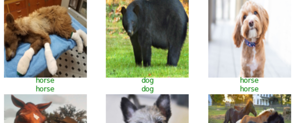Image classifier