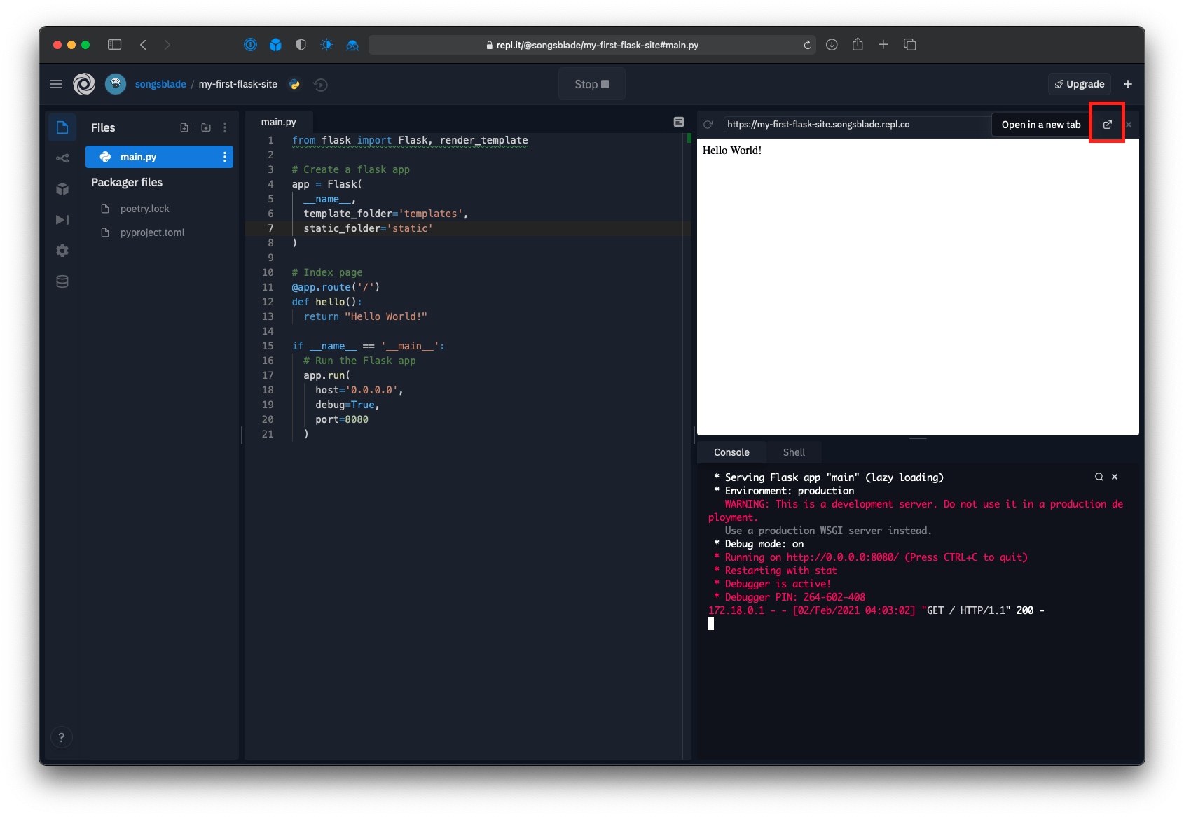 Repl editor with the "Open in a new tab" button highlighted