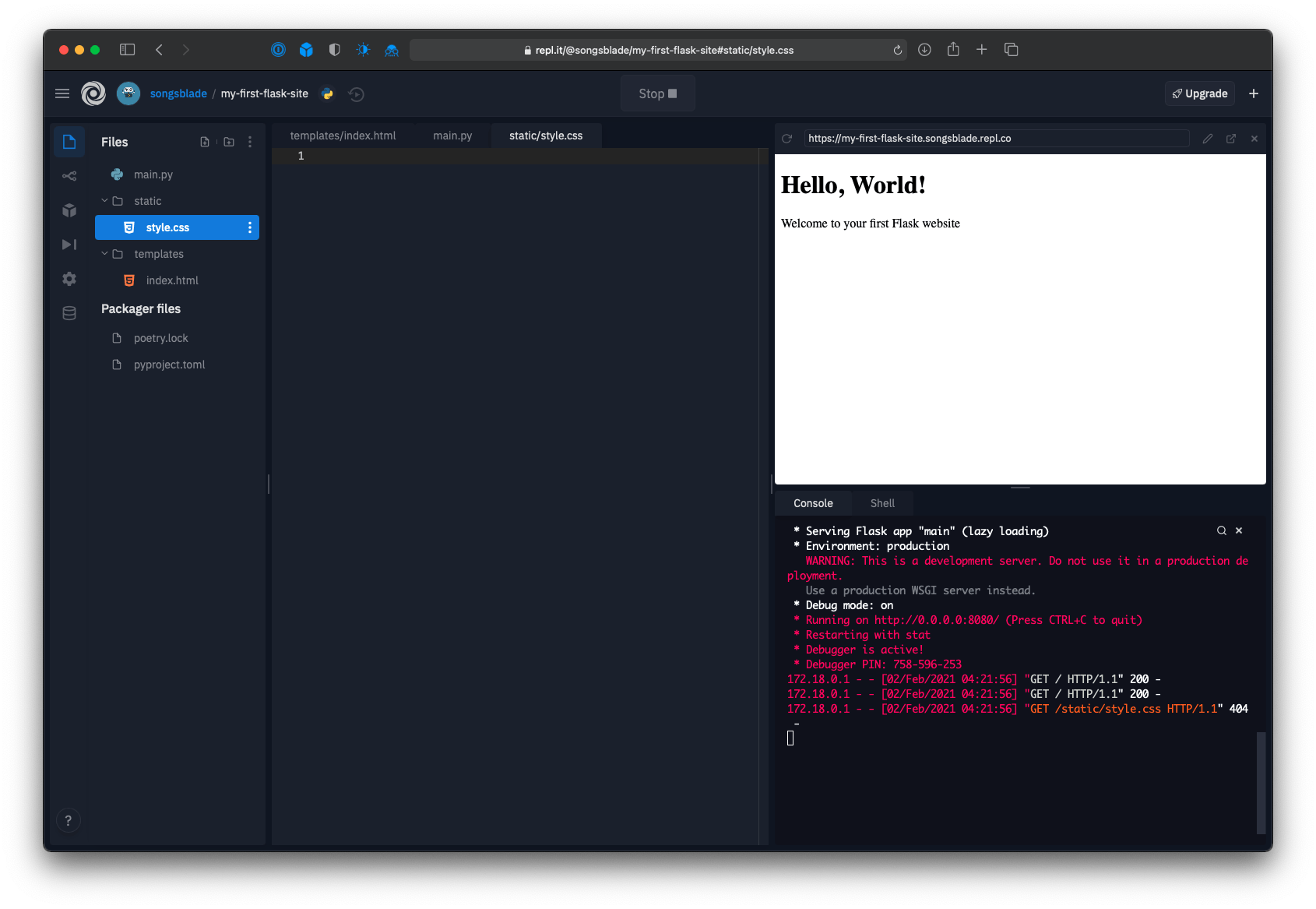 Repl editor showing current state of the project