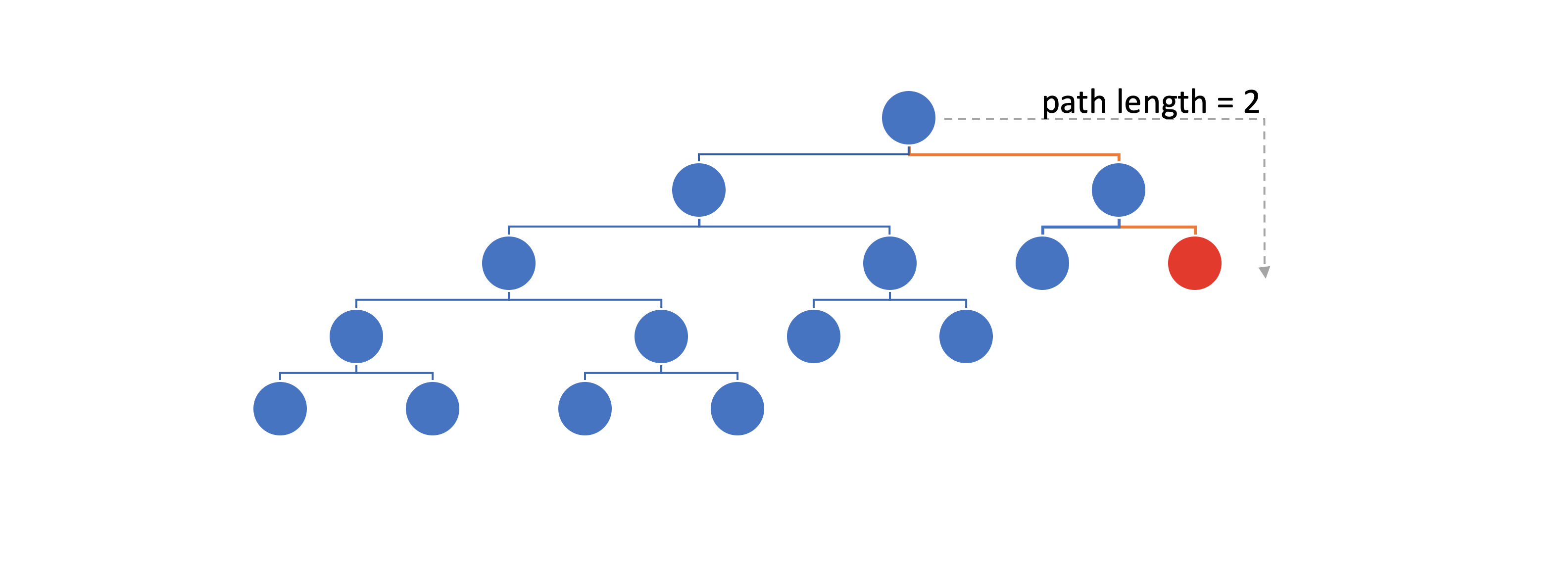 Example of a path length calculation