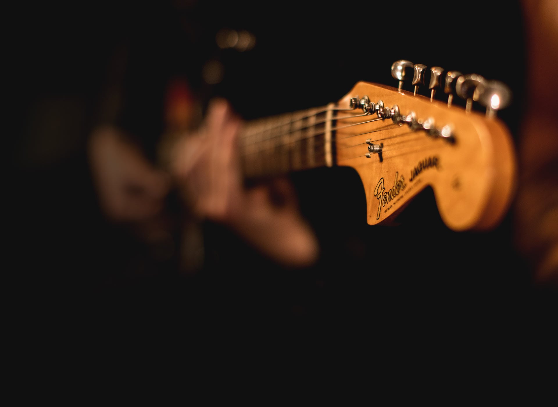 Do animals and aliens perceive music?