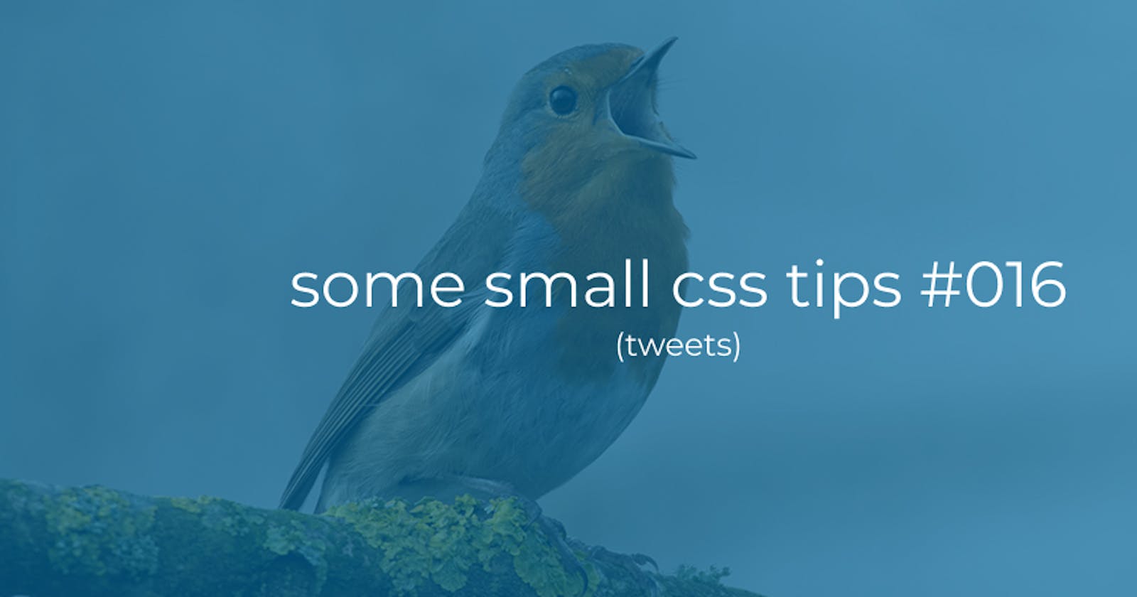 Some small Css tips #016