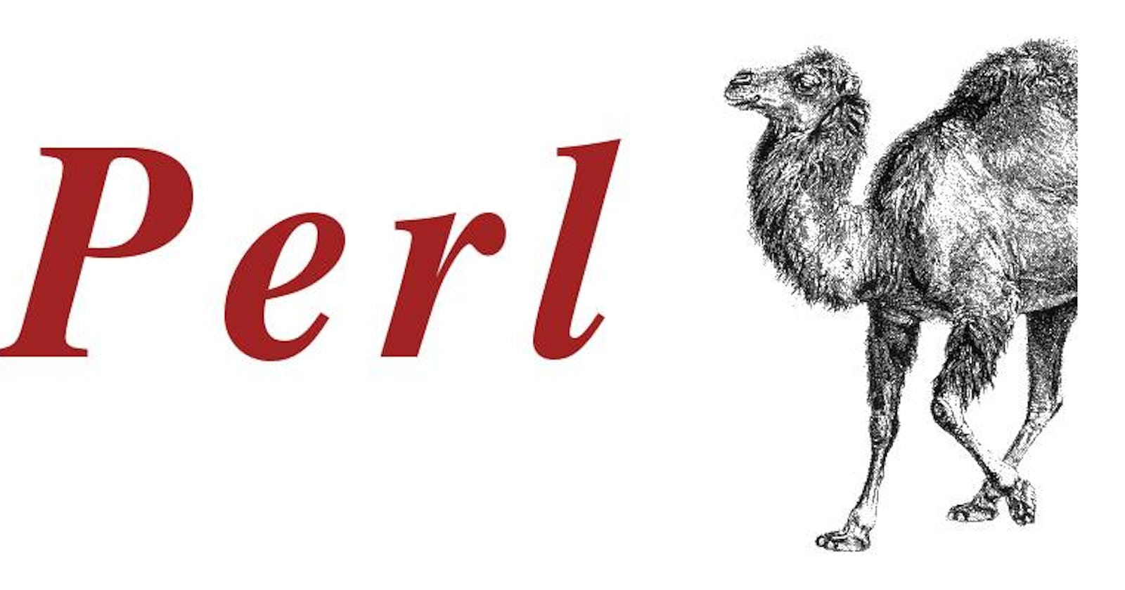 A Crash Course in Perl