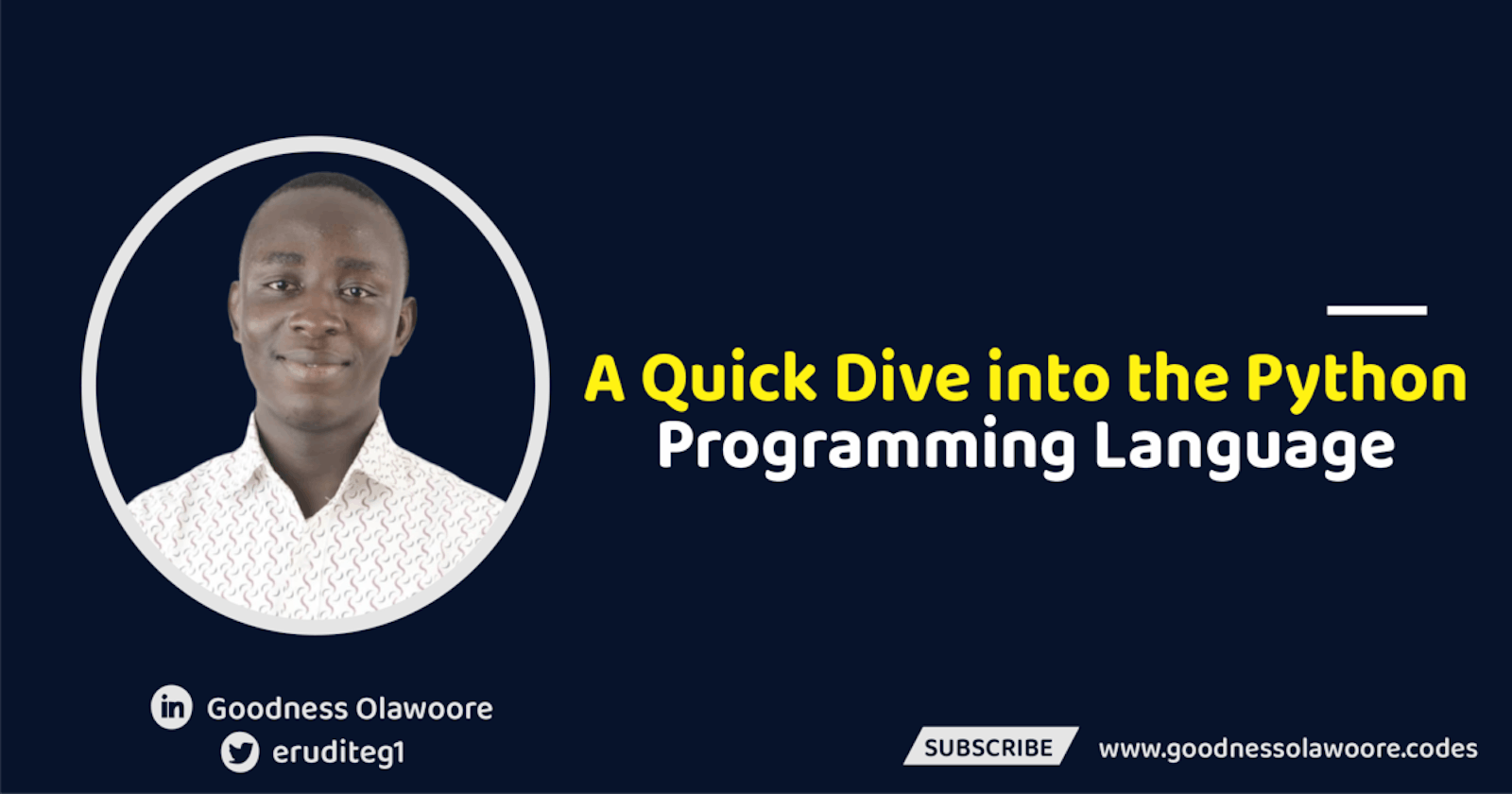 A Quick Dive into the Python Programming Language.