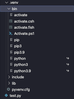 Python virtual environment files