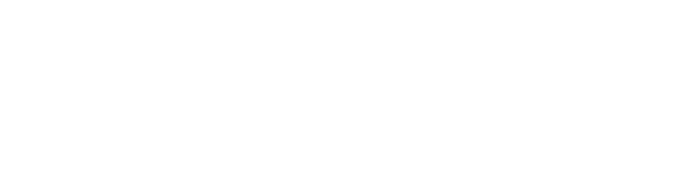 Dalibor Belic's Blog