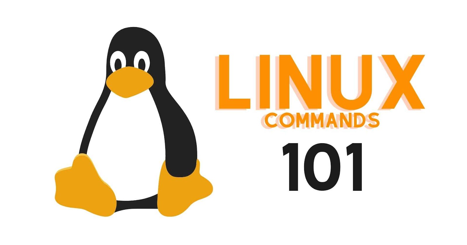 Linux Commands 101