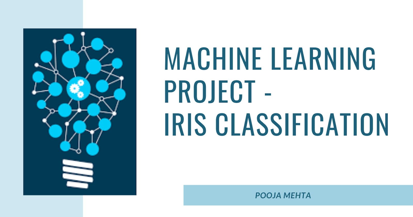 Machine Learning Project - Iris Classification