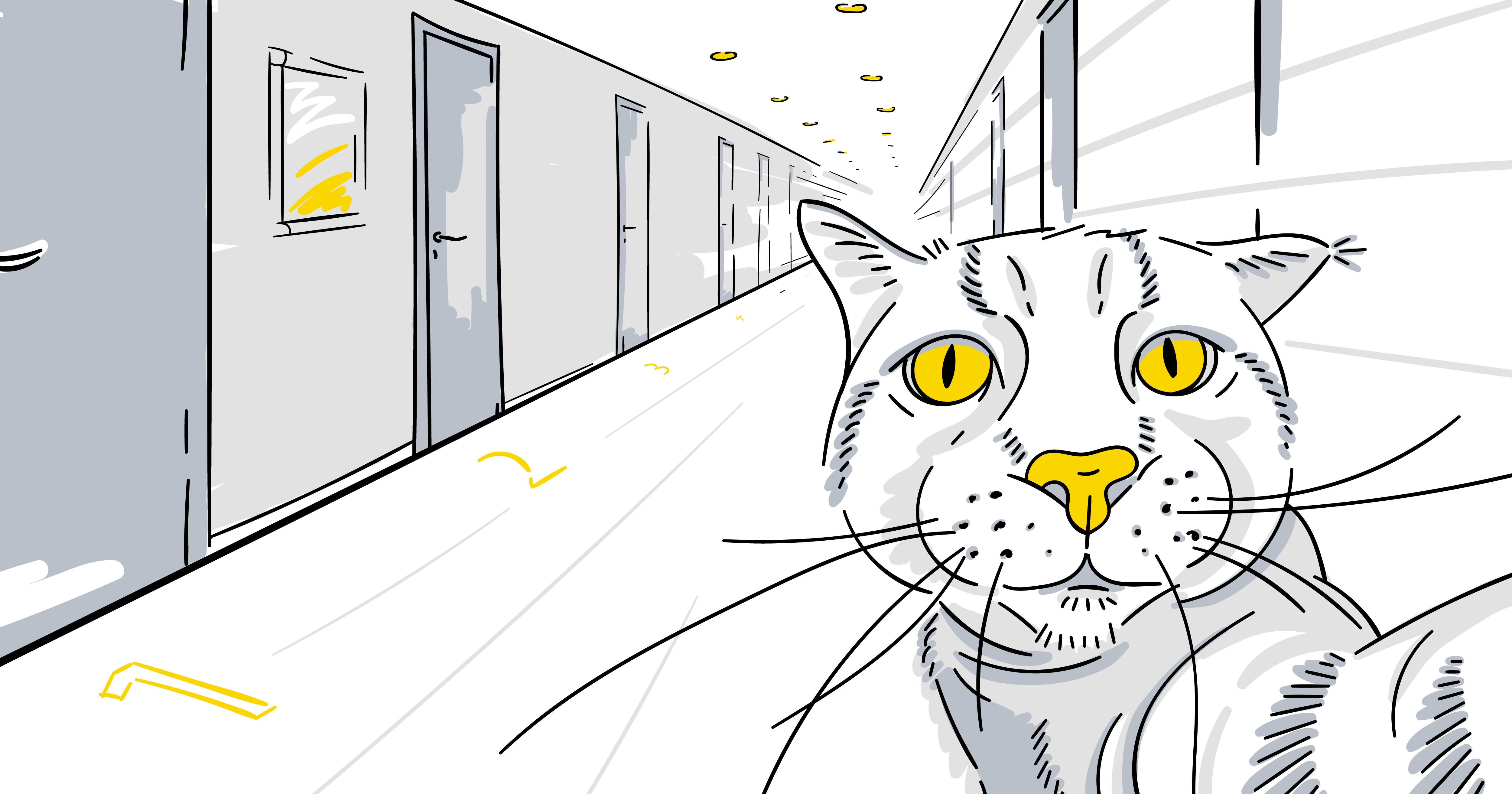 cat&hotel_1200x630.png