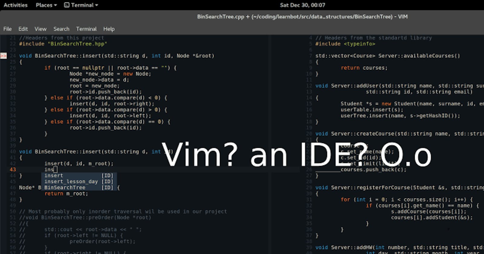 Vim, the best tool for Programmers