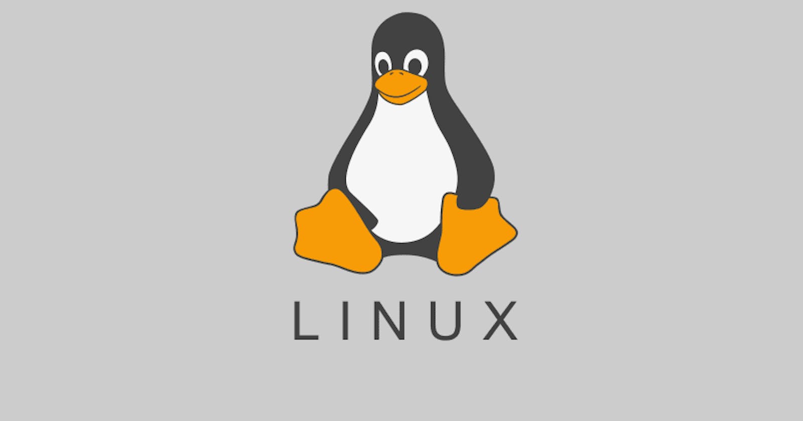 How to Use the Linux Command Line Like a Pro