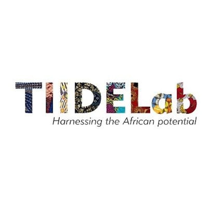 My experience at Tiidelab pre-fellowship program.