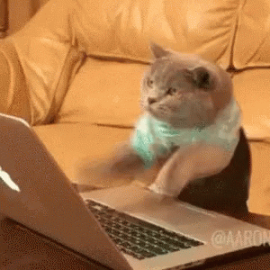 coding kitty