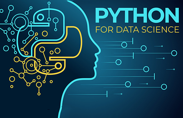 Python Data Science Libraries 