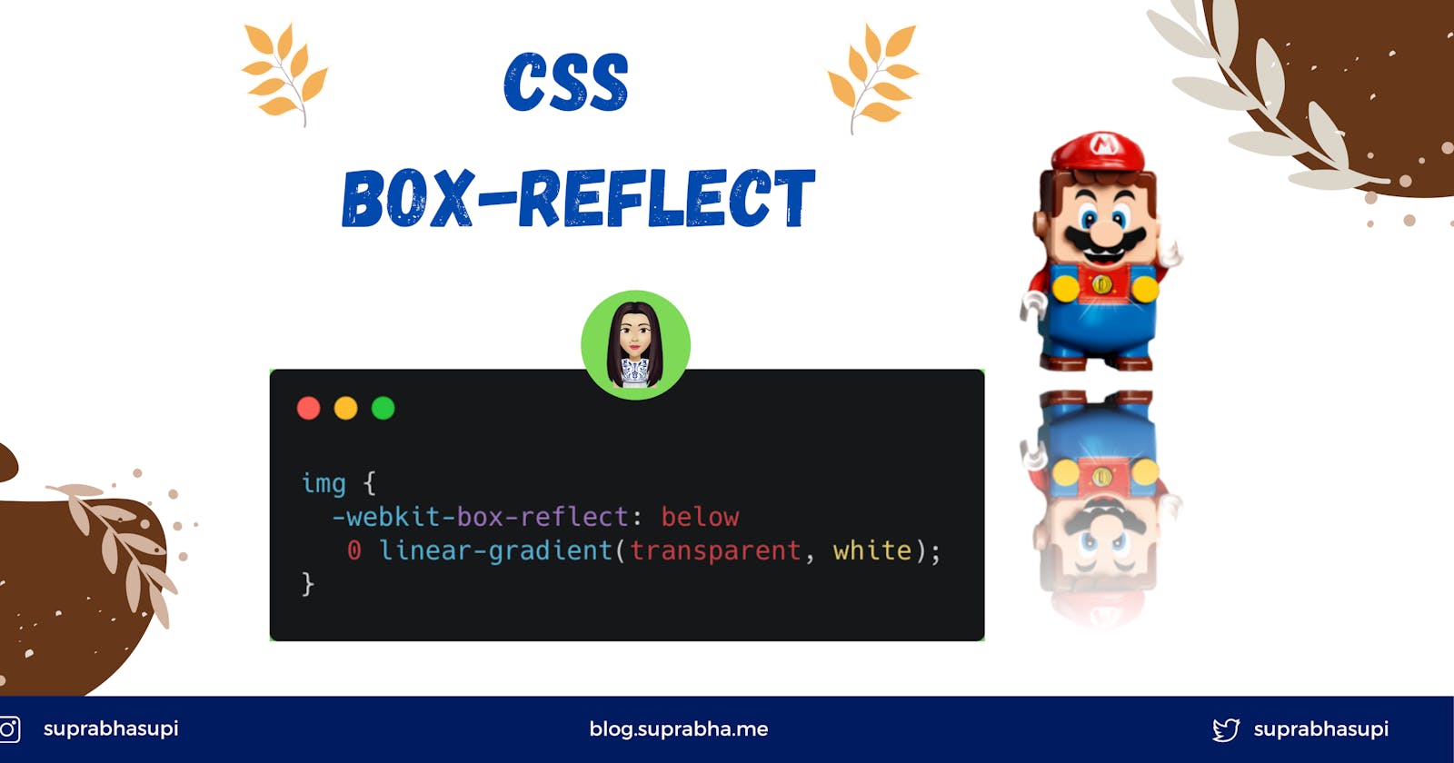 CSS Box Reflect