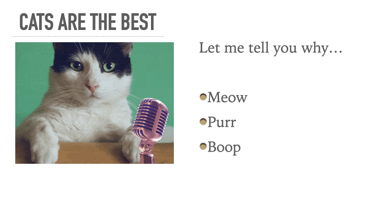 a slide titled 'cats are best' with a cat talking in a box on the left-hand side and bullet points on the right 
