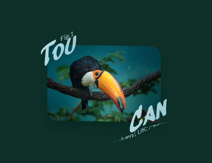 Fig Caption | Hover Effect In Css