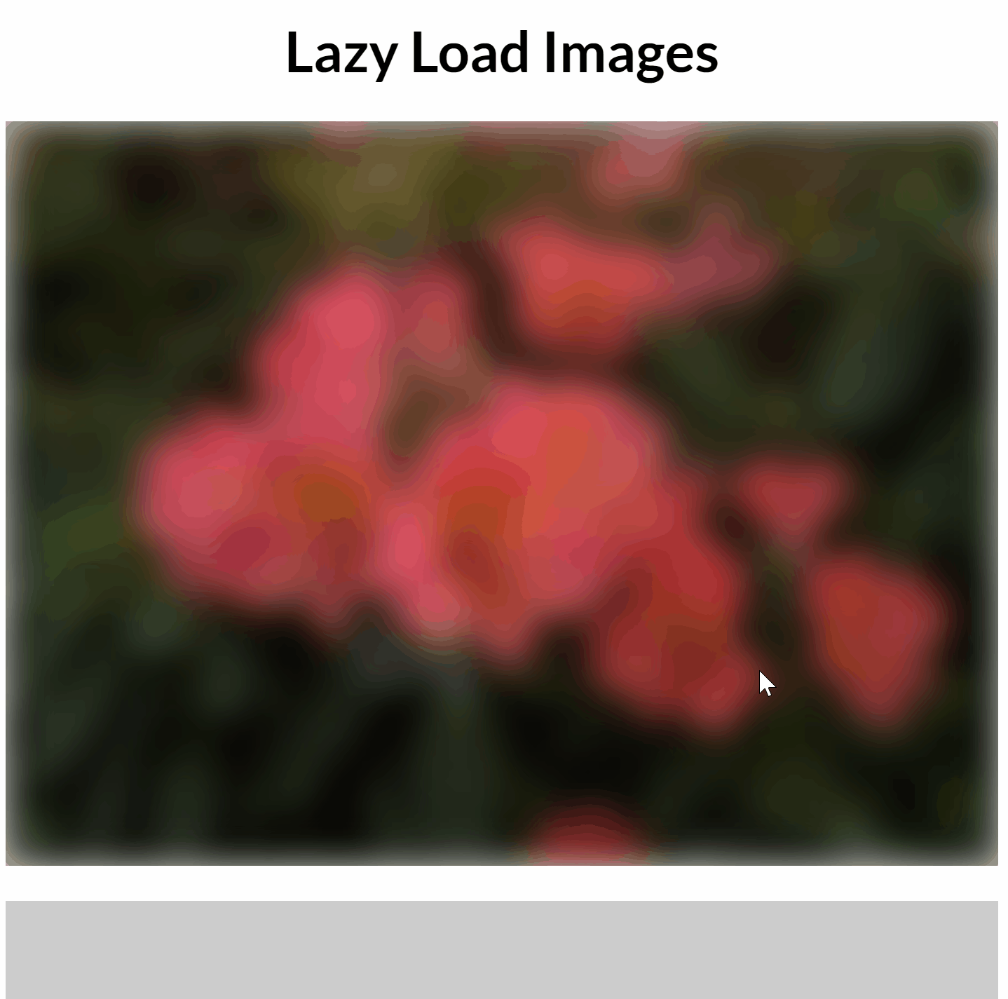 Final Lazy loaded Image with blur effect