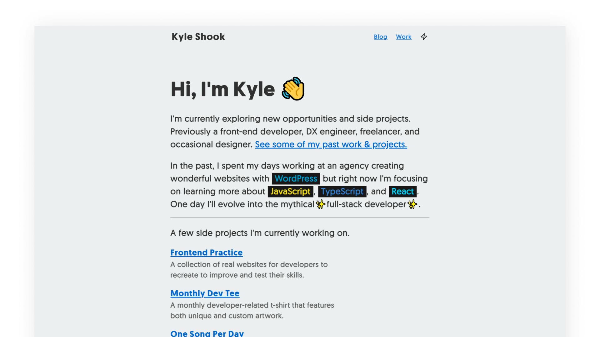 Kyle Shook's portfolio preview