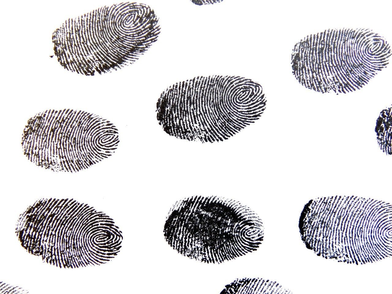 fingerprint-456486_1280.jpg