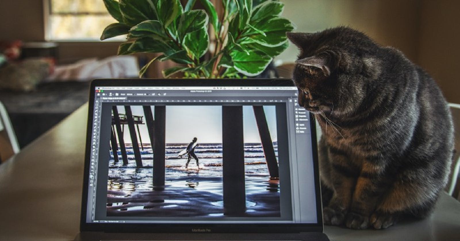 How Pets Can Make You a Better Programmer - Yes, Your Pet Can Do That