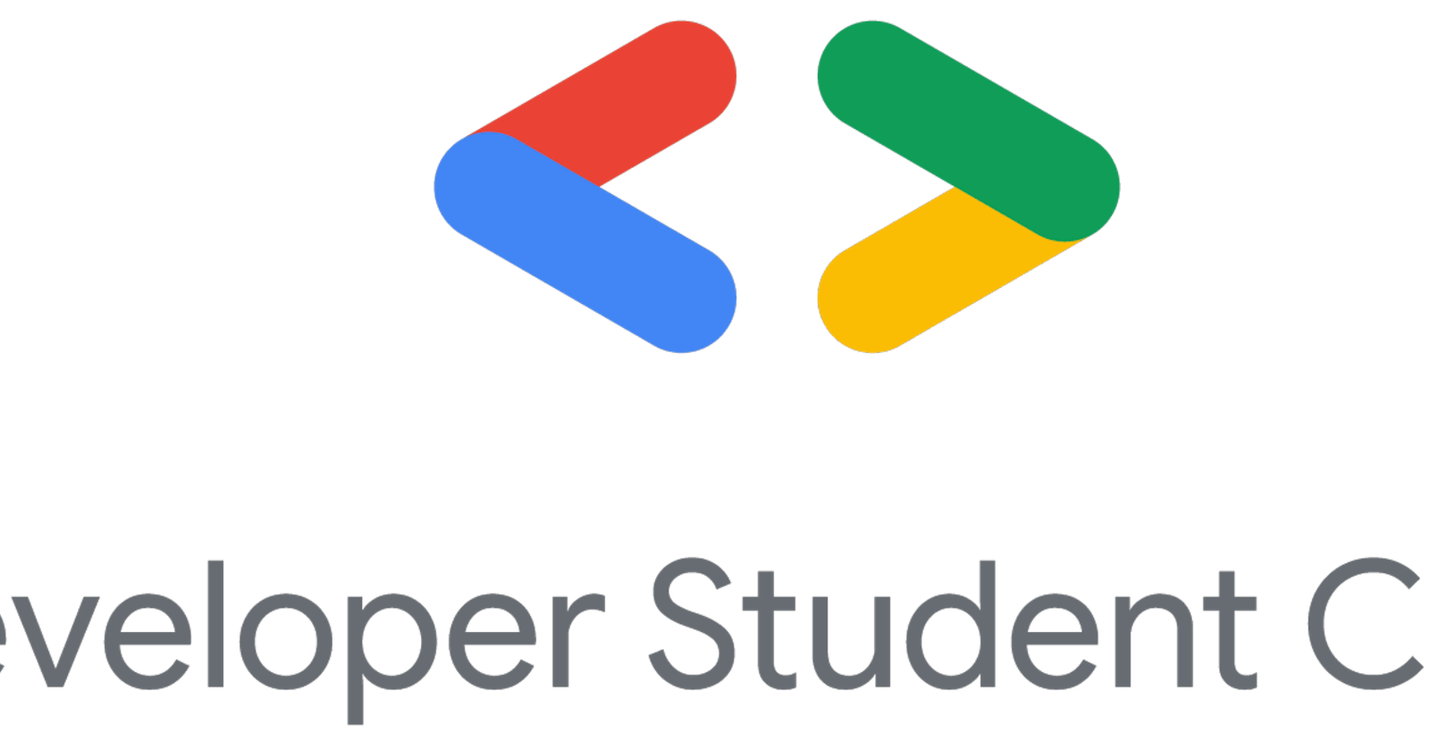 A Year of Being the Google Developer Student Clubs Lead
