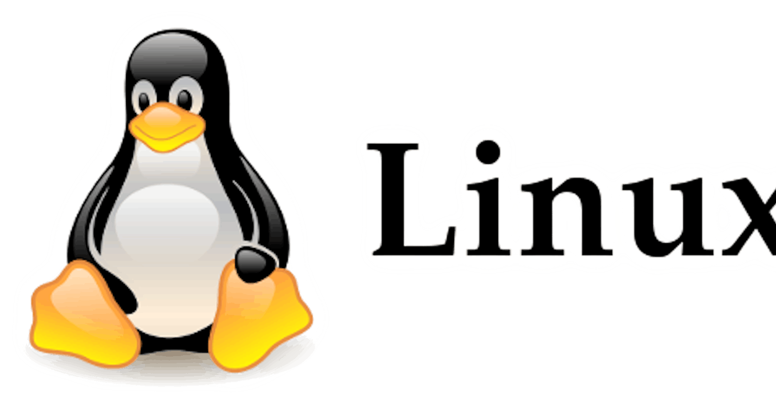 Linux: Teste de conexão - NC