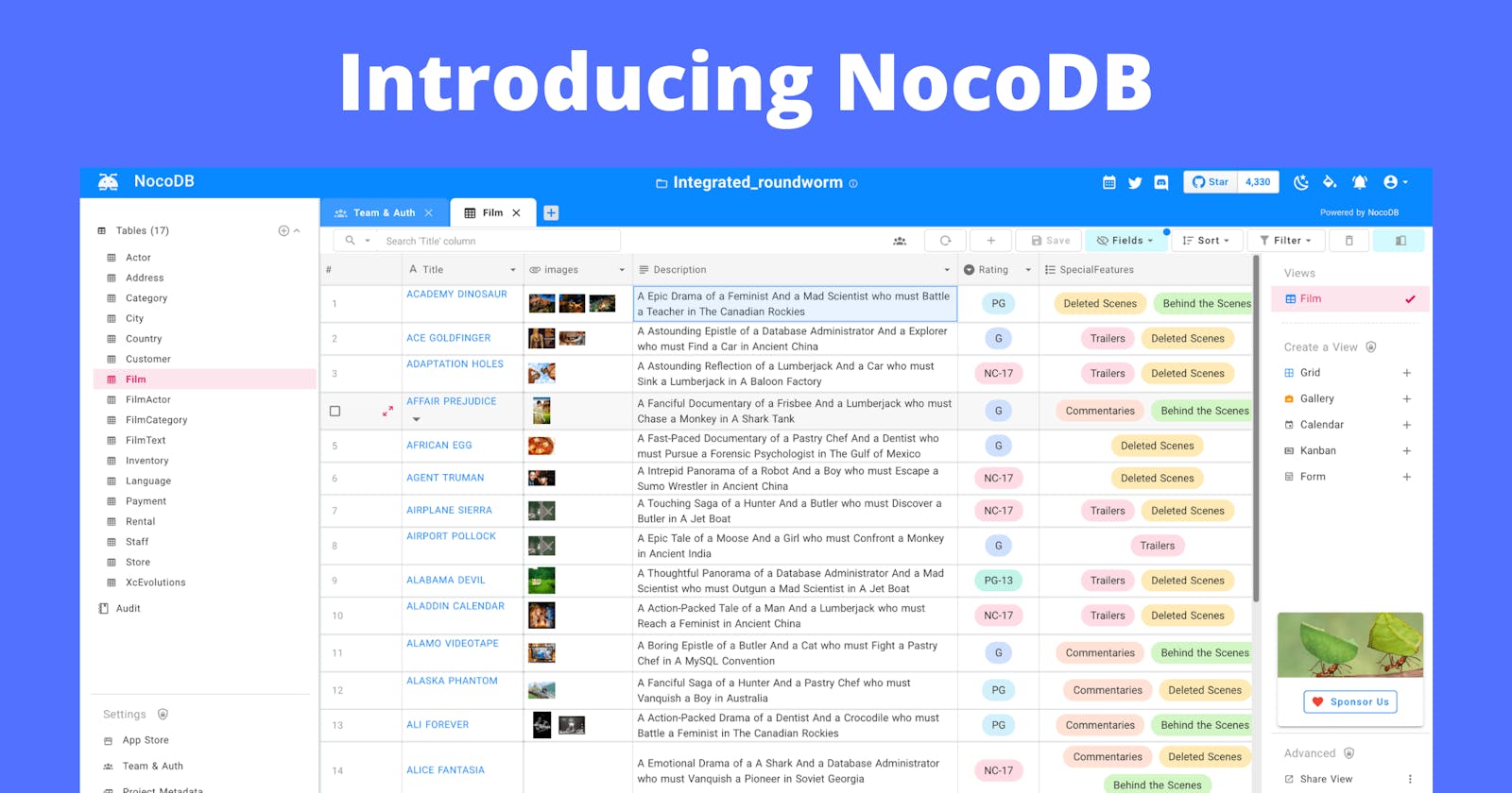 Introducing NocoDB : The Open Source Airtable Alternative