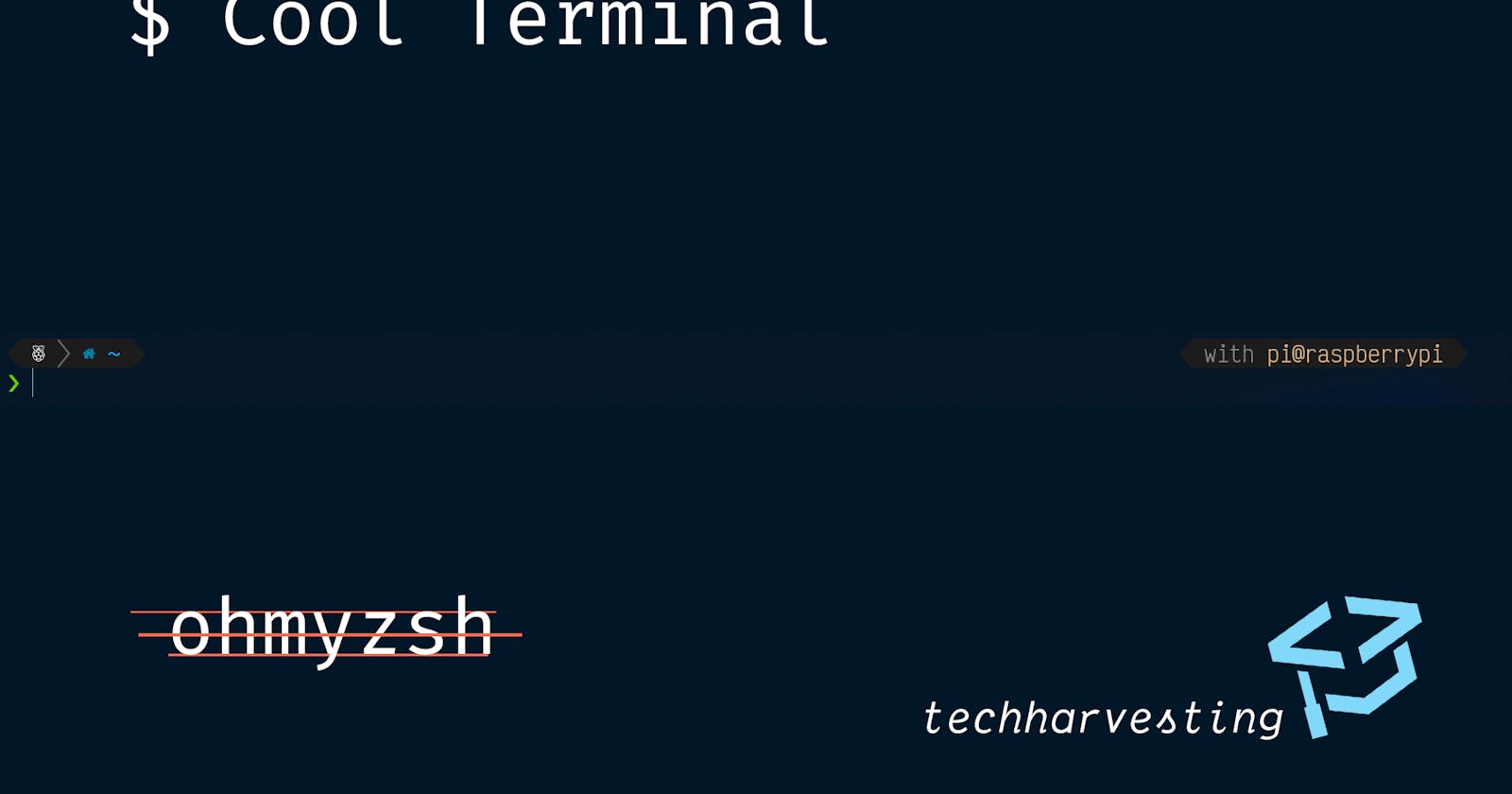 Customize your Terminal in Linux/Macos/WSL without ohmyzsh!