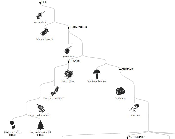 Tree diagram sample.jpg