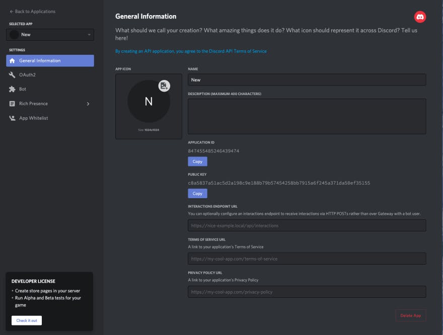 a screenshot of the Discord developer portal after a new application is created in the general information screen. There's information about the new bot application including the application ID.