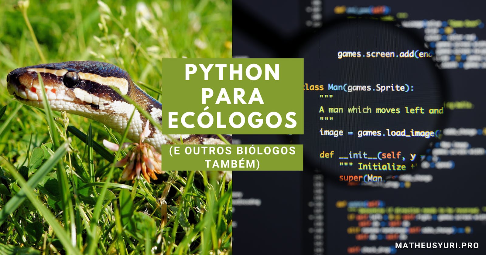 Aula 2 - Introdução aos elementos do Python