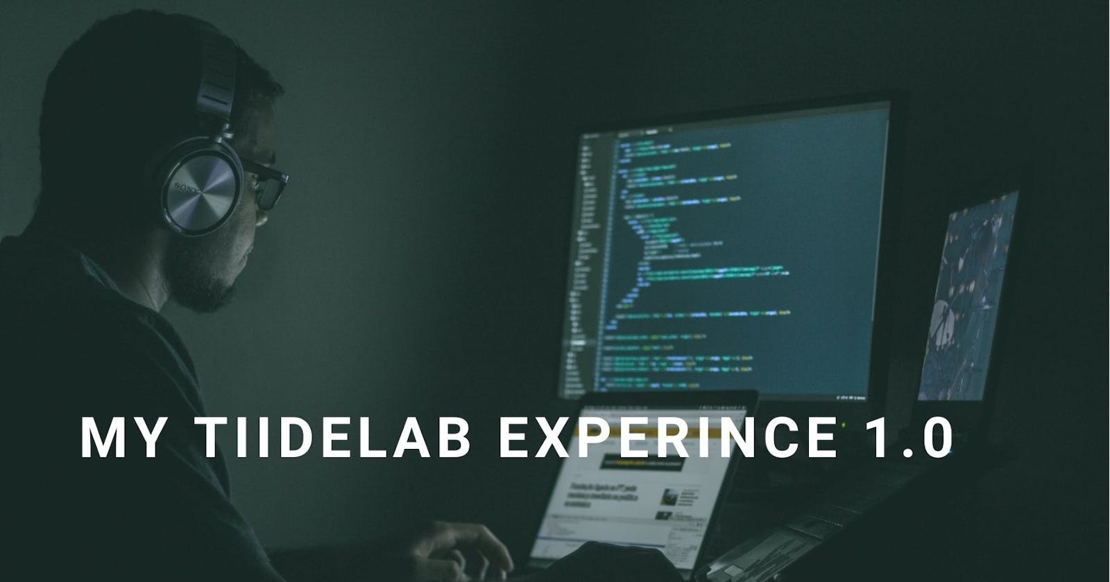 My TIIDElab Experience 1.0