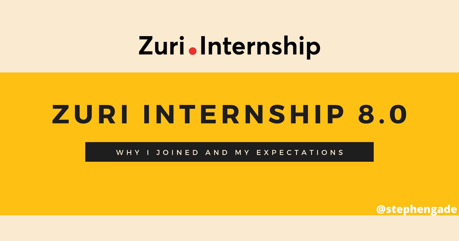Zuri Internship 8.0: Why I Joined, My Expectation and Goal(s)