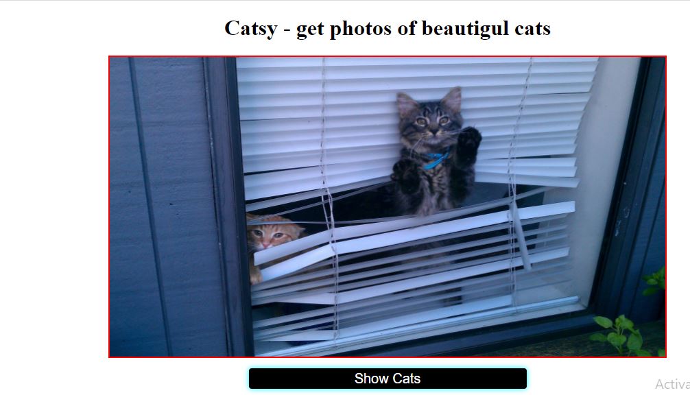 Build Catsy :- a small cat gallery app (Using Fetch Api)