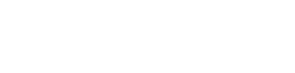 AnsellMax