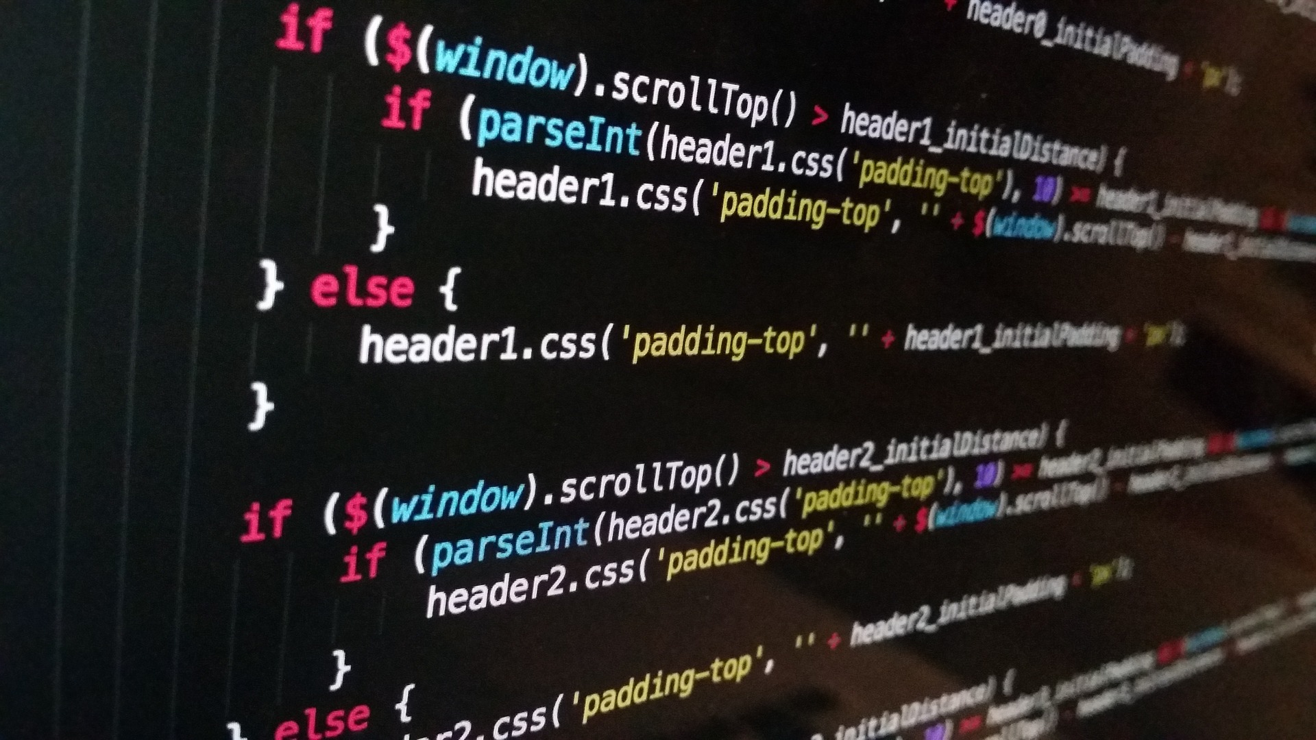 JavaScript: the queen of the Web👑