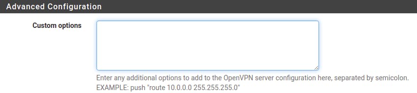 Custom Options for OpenVPN on pfsense