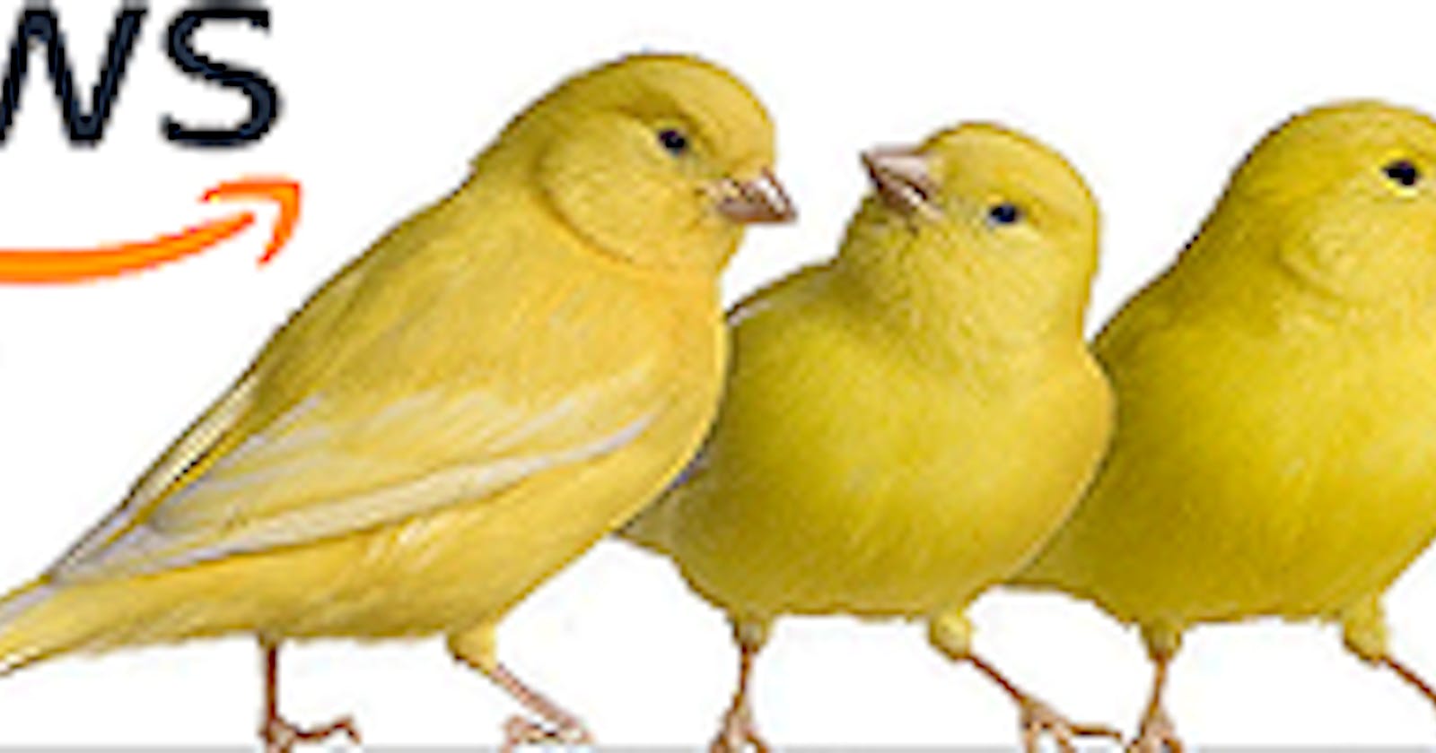 AWS Cloudwatch - Did You Find Your Canaries?