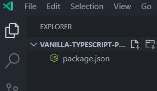 packagejson-created.PNG