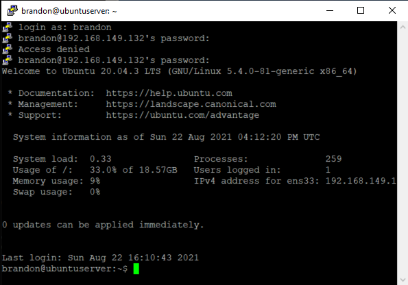 Putty Terminal logged in to Ubuntu Server