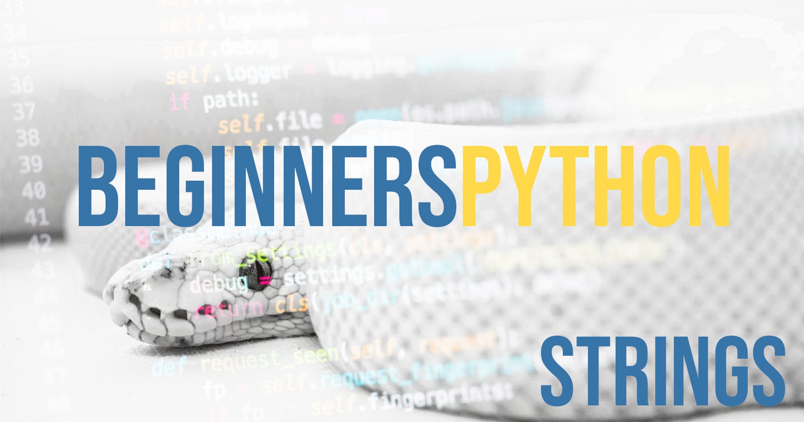 Python for Beginners [Strings]