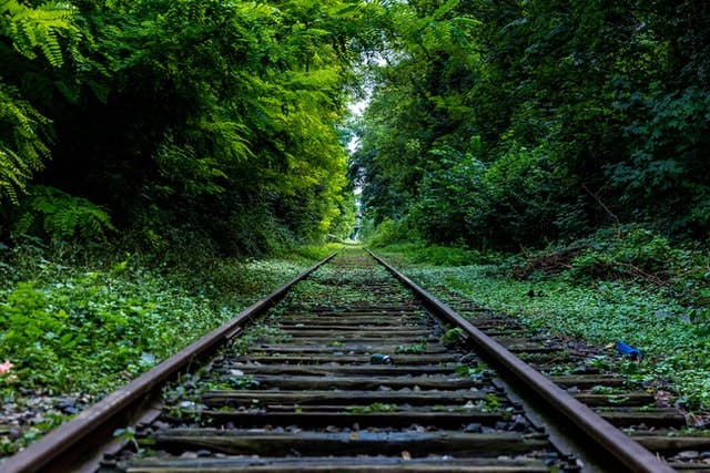 A train track in the middle of a forest