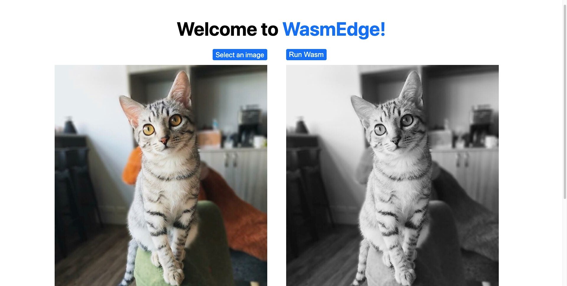 Rust and WebAssembly Serverless functions in Vercel