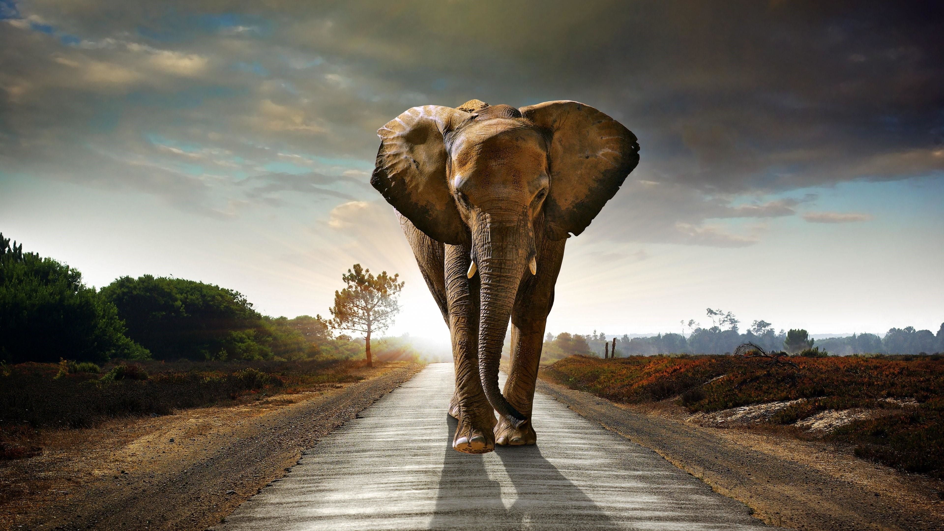 PostgreSQL to get started